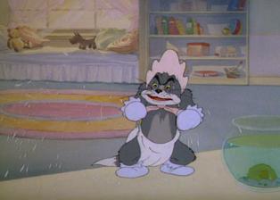 猫和老鼠 第六季 第22集 宝贝猫咪 动画片在线播放