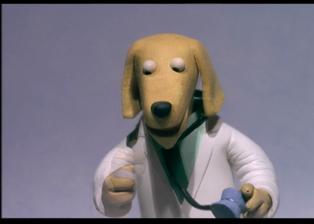 动物医院动画片全集 中文版英文版 在线观看 | 
